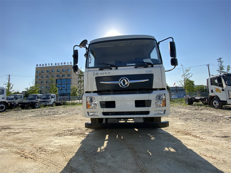 東風D3V（后雙橋，康明斯260）國六 內飾照片圖